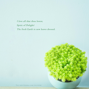 日韩日韩女性交做爱视频免费看
